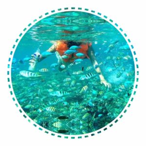 セブ 親子留学 子連れ アイランドホッピング 日帰り